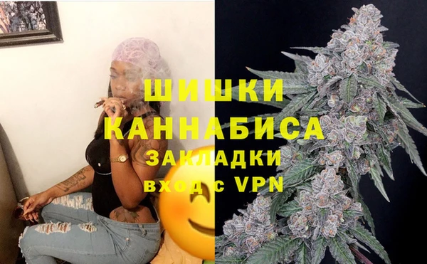 apvp Арсеньев