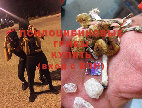 ALPHA-PVP Баксан