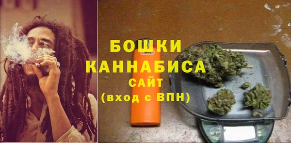 сатива Балабаново
