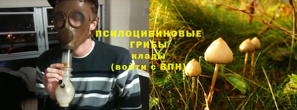 сатива Балабаново