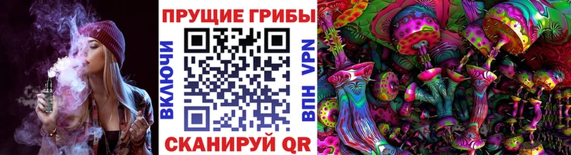 сайты даркнета наркотические препараты  Озёры  Псилоцибиновые грибы Magic Shrooms 